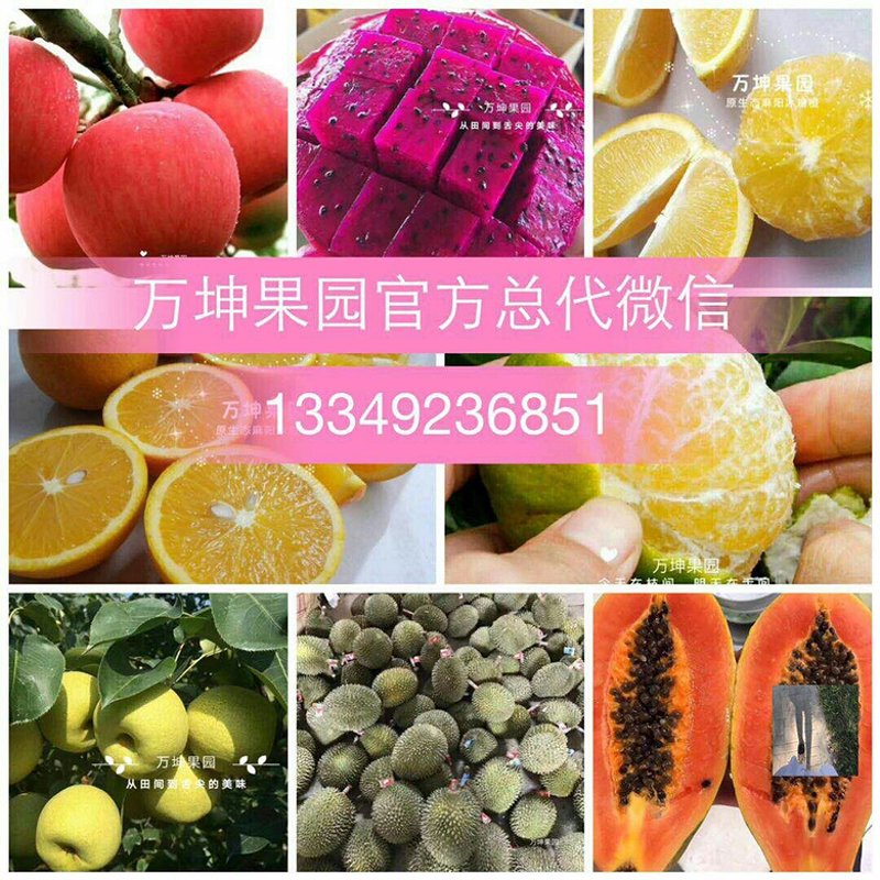 蔬菜配送，如何选择靠谱的服务商？